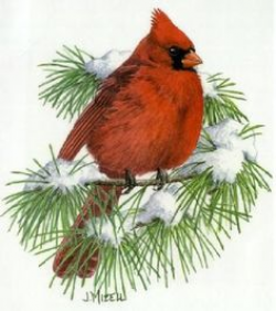 Free Winter Clip Art | CLIPART WINTER BIRD | Royalty free vector ...