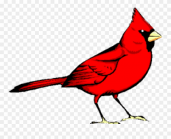 Graphic Freeuse Library Cardinal Clipart - Red Bird - Png ...