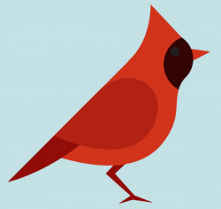 28+ Collection of Red Robin Bird Drawing | High quality, free ...