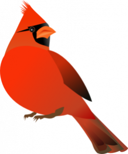 Red Cardinal Clip Art at Clker.com - vector clip art online, royalty ...