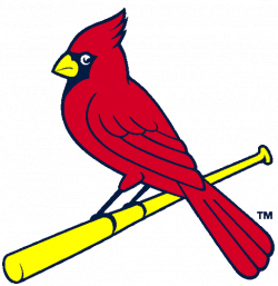 Birds On A Bat | Home town boys!!! | Pinterest | Cardinals, Bird ...