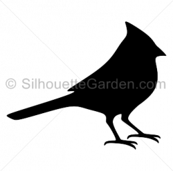 Cardinal silhouette clip art. Download free versions of the image in ...