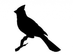 Cardinal Silhouette / Stencil - http://stickthisgraphics.com/images ...
