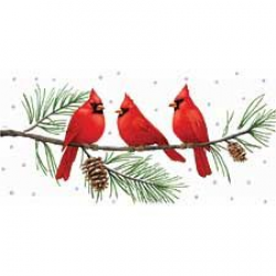 28+ Collection of Free Christmas Cardinal Clipart | High quality ...