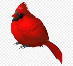 Winter Bird Clip art - Red Winter Bird PNG Clipart Image png ...