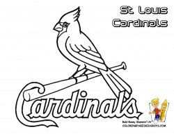 Pin Cardinal Clipart Softball Bird Pencil And In Color Baseball St ...