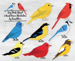 Songbird Clipart Nature Illustrations Song Birds Warbler Cardinal ...