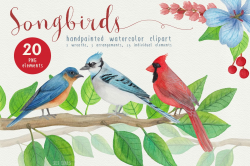Song Birds Watercolor Clipart by Sal Sc | Design Bundles