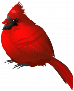 Songbird Northern cardinal Winter Clip art - Winter Bird ...
