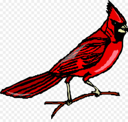 Songbird Northern cardinal Clip art - flock of birds png download ...