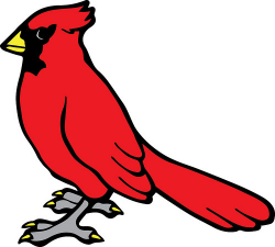 Cardinal Bird | The Craft Chop