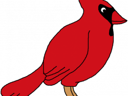 Cardinal Clipart tiny bird 6 - 1021 X 768 Free Clip Art ...