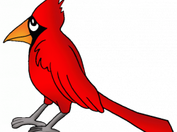 Cardinal Clipart tiny bird 23 - 225 X 225 Free Clip Art ...