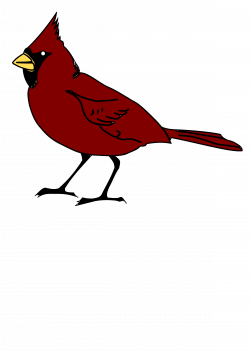 Clipart - Cardinal