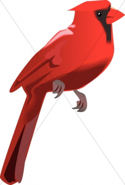 Cardinal Perched | Wildlife Clipart