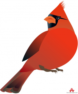 Red cardinal bird vector clip art - Clip Art Library