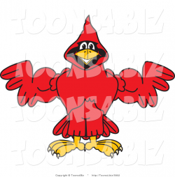 Vector Illustration of a Cartoon Cardinal Mascot Flexing by - Clip ...