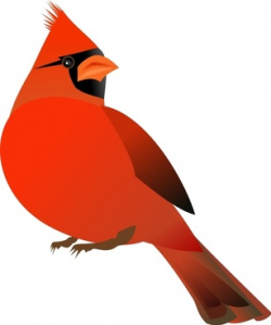 Cardinal free vector download (32 Free vector) for commercial use ...