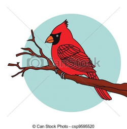 Vector Clipart of Red Bird cardinals - Vector Illustration Of Red ...