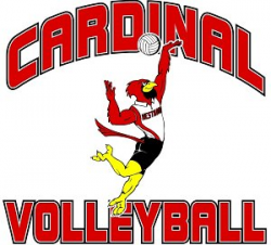 Cardinal Volleyball Clipart