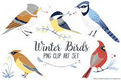 Winter Bird Clip Art Winter Clipart ~ Illustrations ~ Creative Market