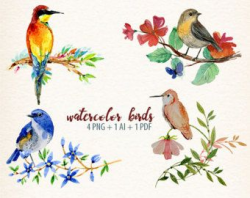 Watercolor Birds Clipart | Winter Birds Clipart - Woodland Animals ...