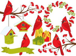 Cardinal Bird Clipart - Digital Vector, Xmas, Christmas, Berry, Wreath,  Cardinal Clip Art