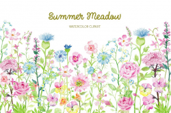 Watercolor Clipart Summer Meadow ~ Illustrations ~ Creative Market
