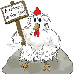 Caring for chickens : ten questions to ask yourself before you buy.