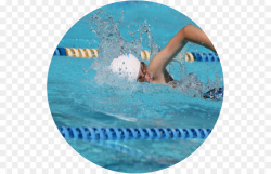 Swimming Cartoon clipart - Swimming, Water, Swimmer ...