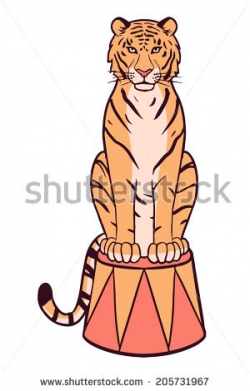 28+ Collection of Circus Tiger Drawing | High quality, free cliparts ...