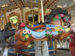 45 best Merry go Round images on Pinterest | Carousels, Carousel ...