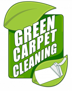 Carpet Cleaning Services | Carpet Steam Cleaning Company