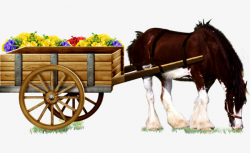 Horse Car Flower Material, Horse Carriage, Flowers, Beauty PNG Image ...