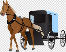 Horse and buggy Carriage , Carriage transparent background ...