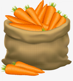 A Bag Of Carrots, Carrot, Radish, Vegetables PNG Image and Clipart ...