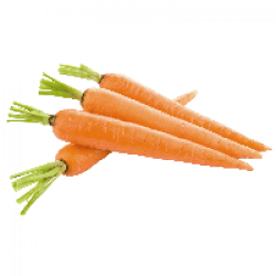 Download Carrot Free PNG photo images and clipart | FreePNGImg