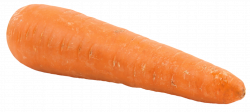 Big Carrot PNG Image - PngPix