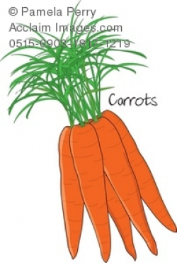 Clip Art Illustration of a Small Bunch of Carrots With Tops