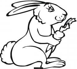 Bunny rabbit eating a carrot | Clipart Panda - Free Clipart Images