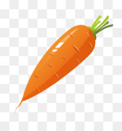 Seventeen 17 Carat Hello Carrot Teen, Age - carrot png download ...