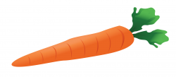 Free clipart carrot 3 » Clipart Portal