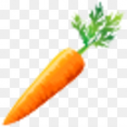 Carrot Vegetable Computer file - Carrot Png png download - 1000*901 ...