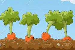 Free Carrot Plants Clipart