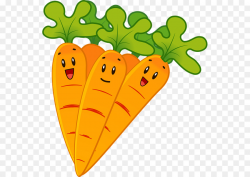 Carrot Cartoon clipart - Carrot, Food, Fruit, transparent ...
