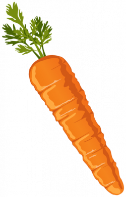 Carrot Clipart PNG Image | Graphics | Pinterest | Carrots, Clip art ...