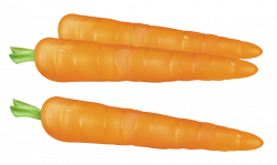 Carrot background cliparts free download clip art png - Clipartix