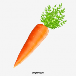 Carrot, Carrot Clipart PNG Transparent Clipart Image and PSD ...