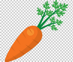 Juice Fruit Salad Carrot PNG, Clipart, Carrot, Carrots, Clip ...