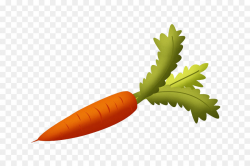 Root Vegetables Carrot Fruit Clip art - Cartoon carrot png download ...